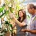 Young girl and man exploring corn plants in a greenhouse at Boyce Thompson Institute, emphasizing agricultural research and plant science breakthroughs.