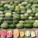 Vibrant assortment of watermelons and melons displayed outdoors, showcasing diverse varieties and colors with sliced samples in front for comparison and visual appeal.